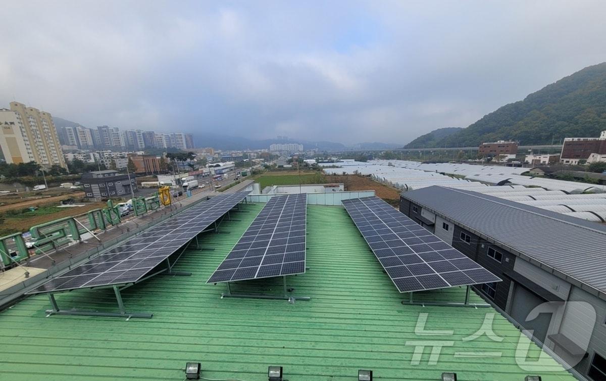 본문 이미지 - 광주시의 한 건물 옥상에 설치돼 있는 태양광 발전설비 모습.&#40;광주시 제공&#41;