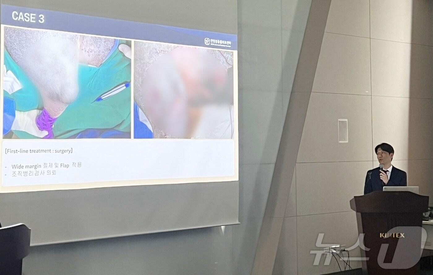 본문 이미지 - 김기웅 안양본동물의료센터 원장은 9일 경기 고양시 일산 킨텍스에서 열린 '경기북부수의콘퍼런스'에서 종양 치료 증례를 공유했다. ⓒ 뉴스1