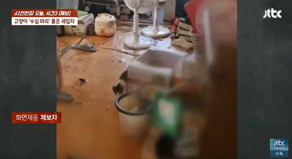 본문 이미지 - (JTBC '사건반장' 갈무리)