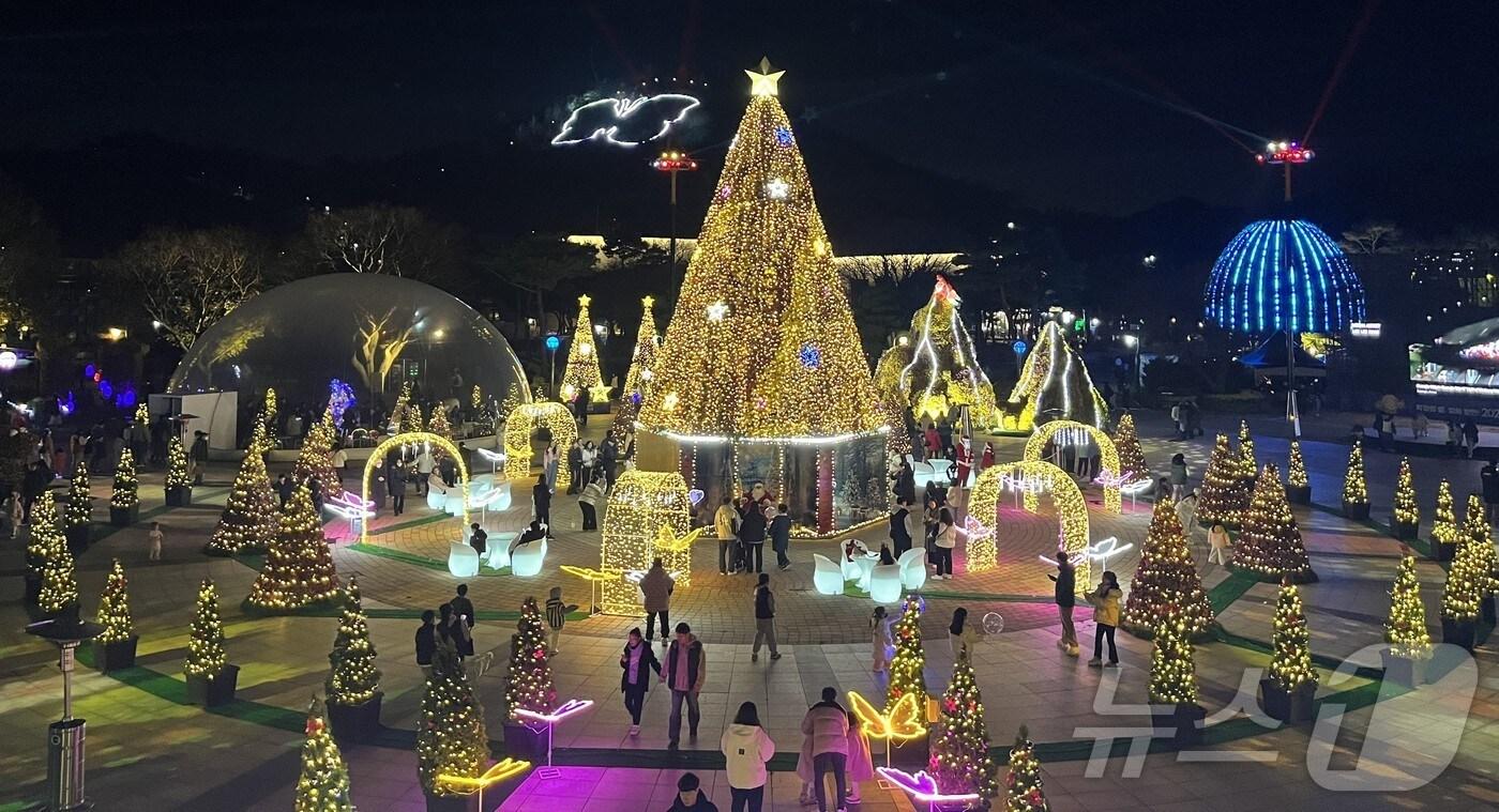 본문 이미지 - 함평 겨울밤 빛축제 모습.(전남도 제공) 2024.12.10/뉴스1