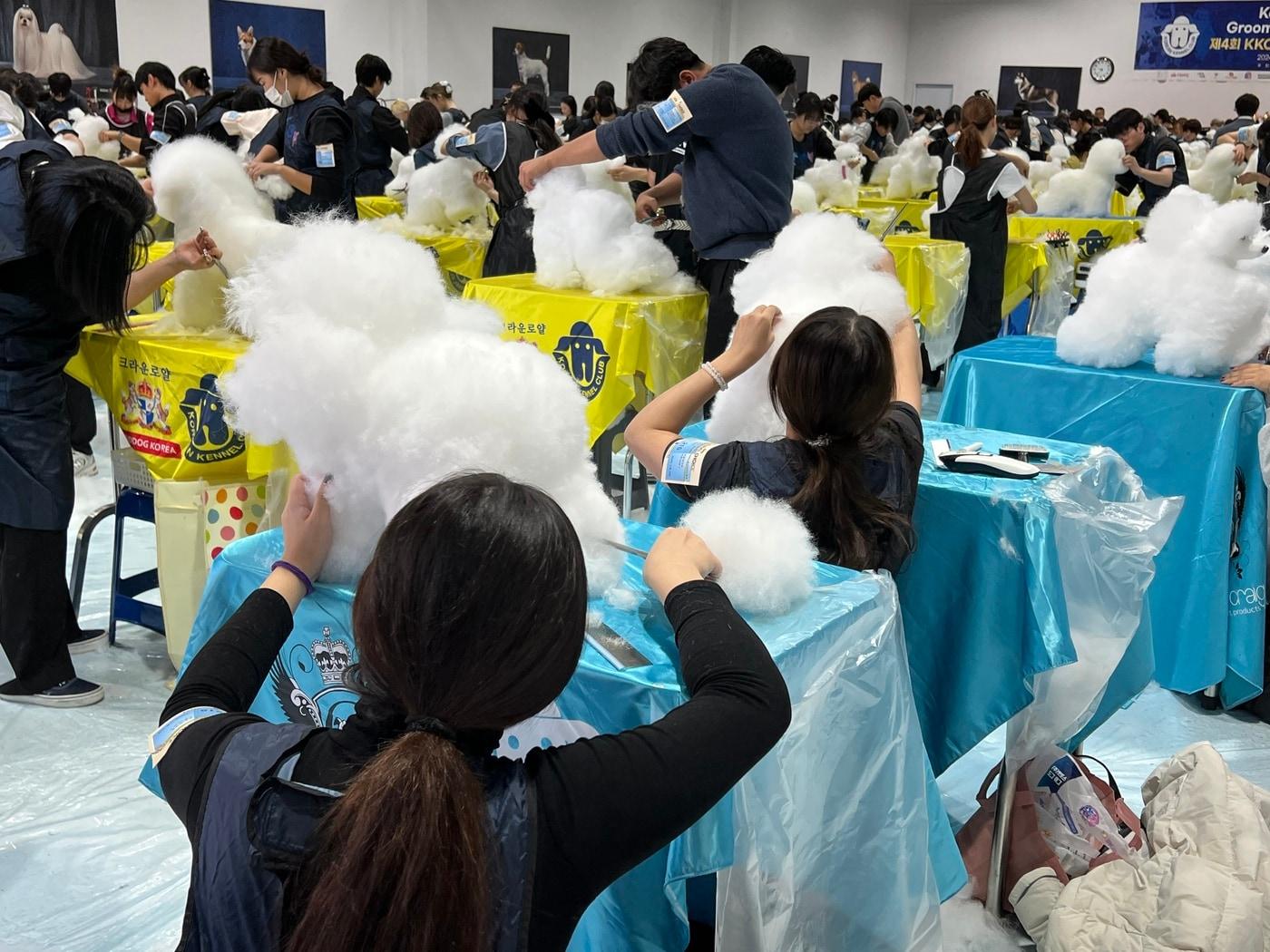 본문 이미지 - 지난달 23일 서울 광진구 한국애견협회센터에서 열린 &#39;2024 반려견스타일리스트 국제경연대회&#39;가 성공적으로 마무리됐다.경연대회 참가자들이 애견 모형&#40;위그&#41;을 이용해 미용 실력을 뽐내고 있다. &#40;한국애견협회 제공&#41; ⓒ 뉴스1ⓒ 뉴스1