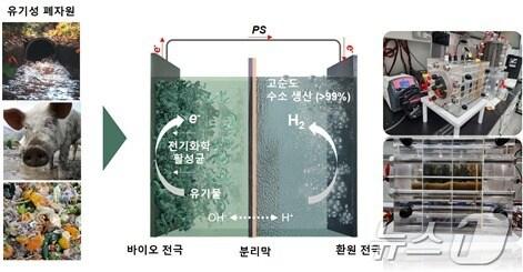 본문 이미지 - 바이오 전해전지 시스템 개념도.(에너지연 제공)/뉴스1