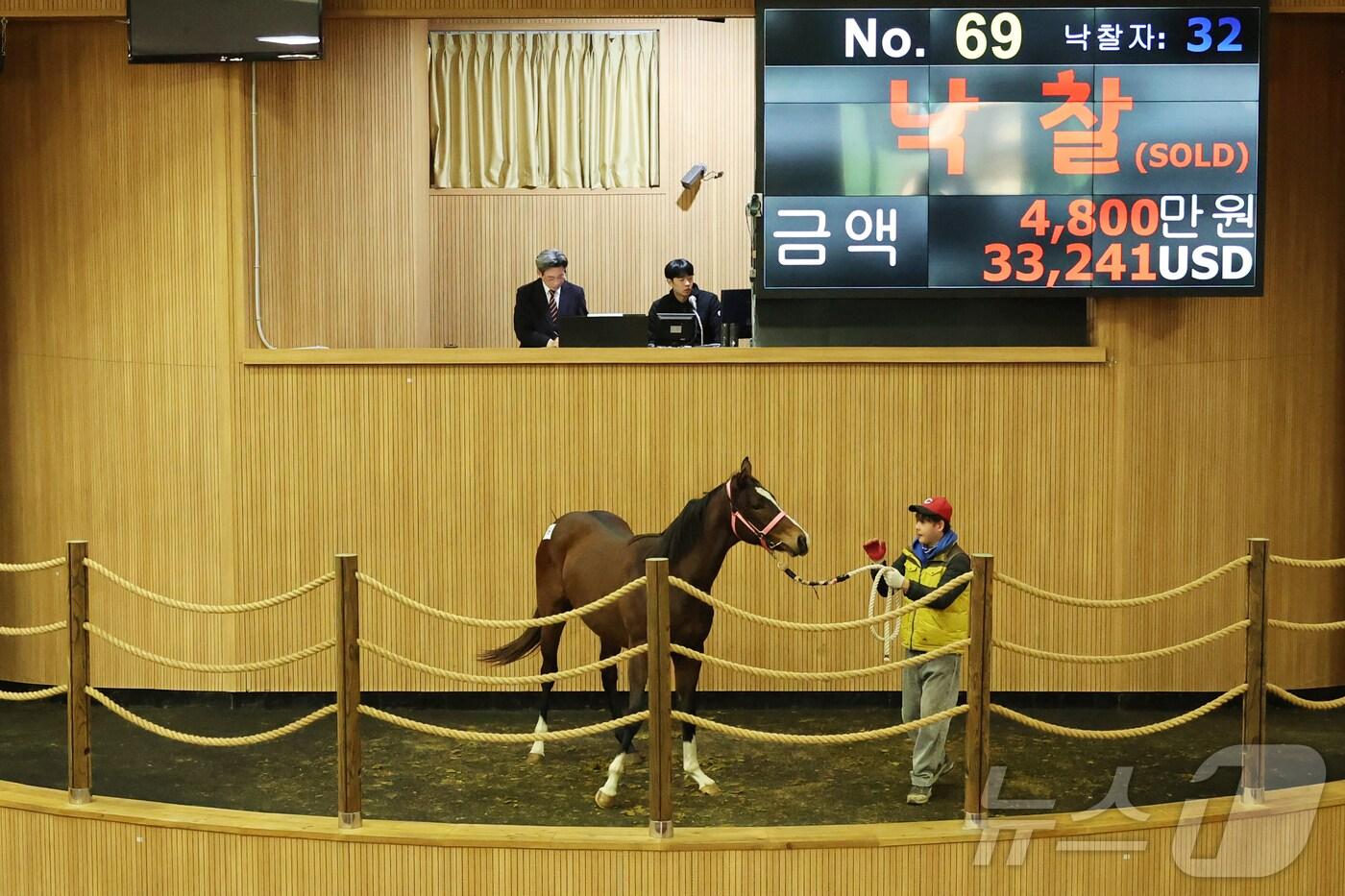 10일 제주목장 내 한국경주마생산자협회 경매장에서 올해 마지막 경주마 경매가 진행되고 있다.(한국마사회 제주본부 제공)