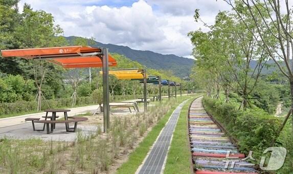 본문 이미지 - 강원 원주시의 치악산 바람길숲 1단계 구간 중 일부 구간 자료 사진. &#40;원주시 제공&#41; 2024.12.13/뉴스1