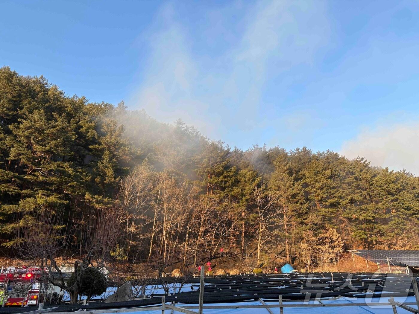 본문 이미지 - 14일 오후 3시 32분쯤 강원 인제군 기린면 방동리의 한 식당 인근 야산에서 화재가 발생, 진화 작업이 진행 중이다. (강원도 소방본부 제공) 2024.12.14/뉴스1