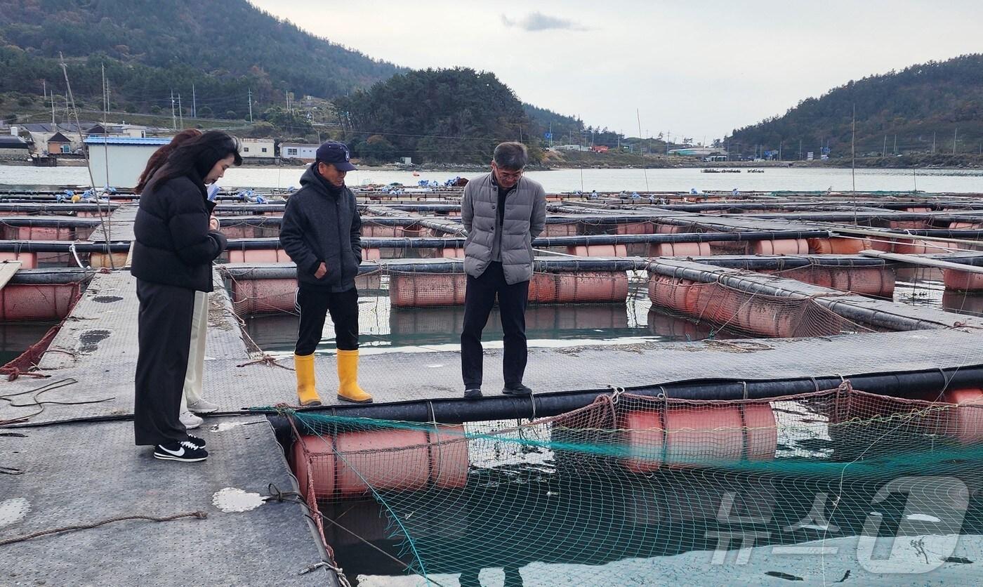 양식장 저수온 피해 예방 점검.&#40;전남도 제공&#41; 2024.12.15/뉴스1