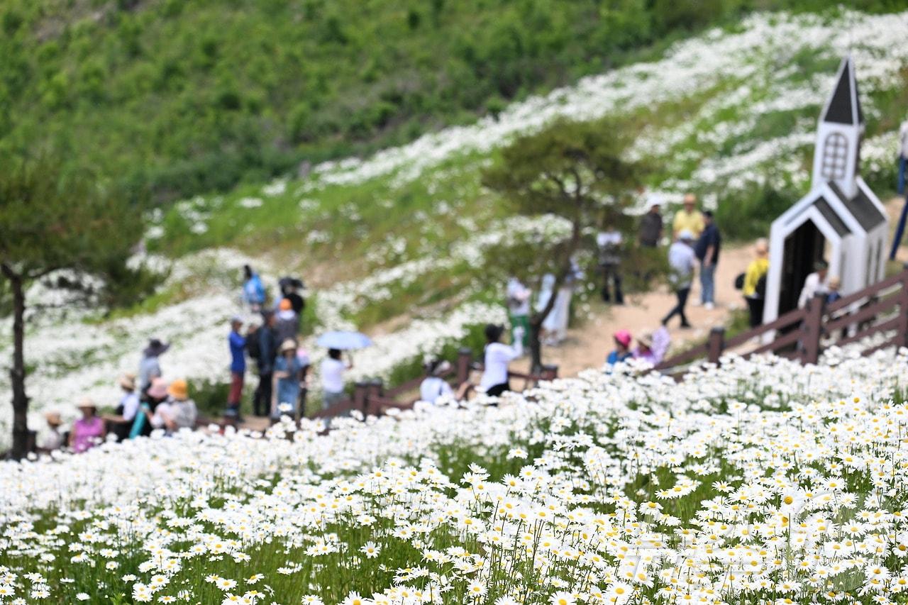본문 이미지 - 강원 평창군 미탄면 육백 마지기 자료 사진. (평창군 제공) 2024.12.16/뉴스1