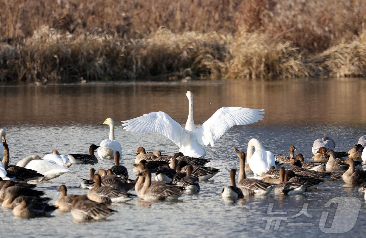 광주 북구 신용동 영산강변 일대의 모습. 뉴스1 DB
