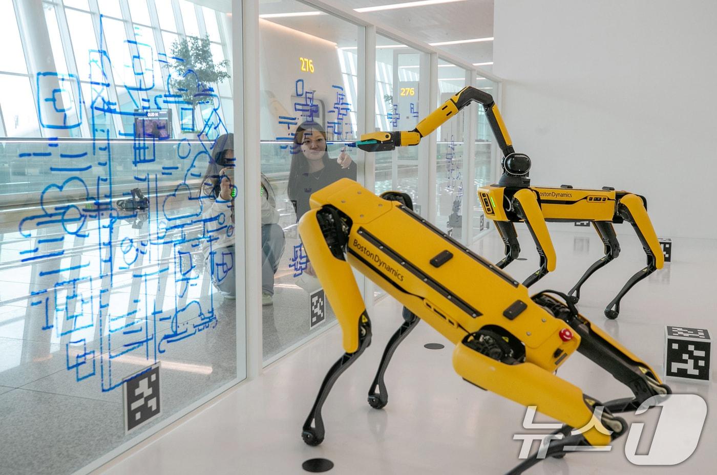 본문 이미지 - 16일 오전 인천국제공항 제2터미널 277번 탑승구 인근에 마련된 아그네츠카 필라트(Agnieszka Pilat) 작가의 사족보행 로봇 전시에서 로봇 '바시아'와 '버니'가 그림을 그리고 있다. ‘See Spot Paint’를 주제로 한 이번 전시는 AI 기술을 활용한 로봇이 30일 동안 우리나라의 건축물과 비행기, 구름 등의 그림을 그리며 작품을 완성하게 된다. (공동취재) 2024.12.16/뉴스1 ⓒ News1 장수영 기자