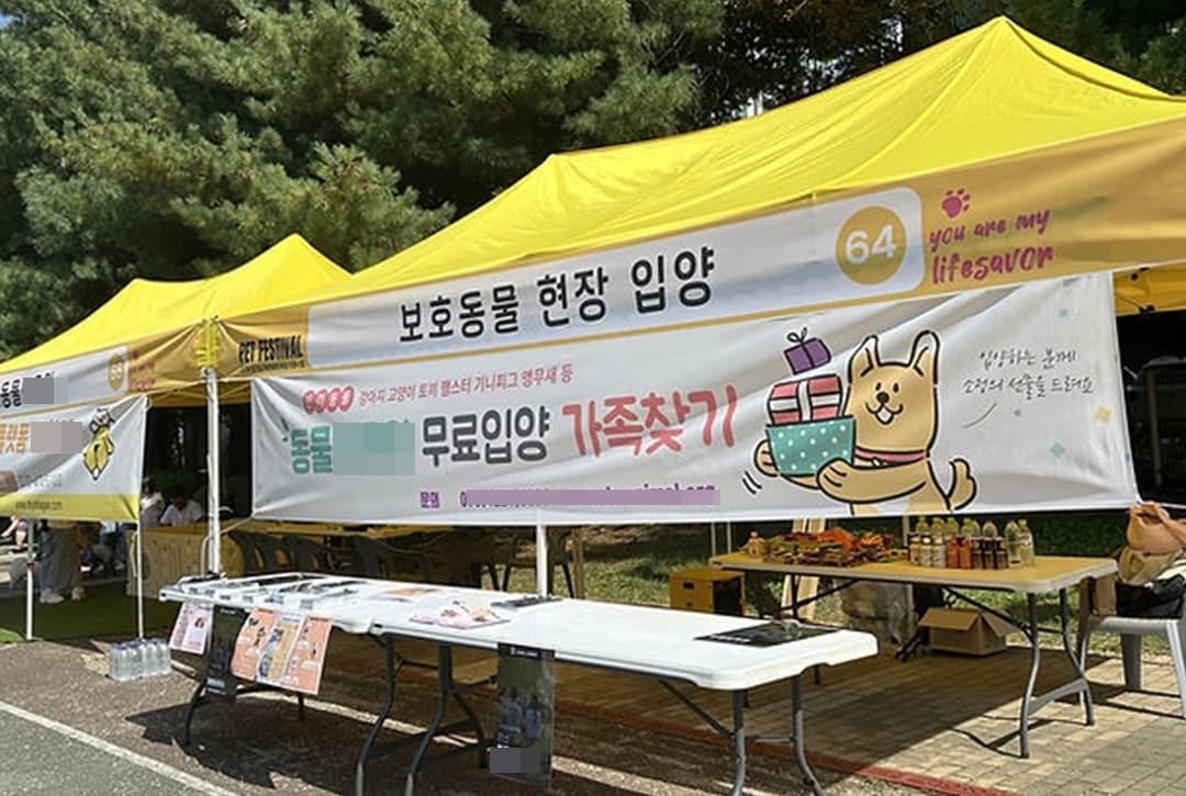 본문 이미지 - 지난달 경기 동두천시 축제에 입양단체로 참여한 동물판매업체 (동물자유연대 제공) ⓒ 뉴스1