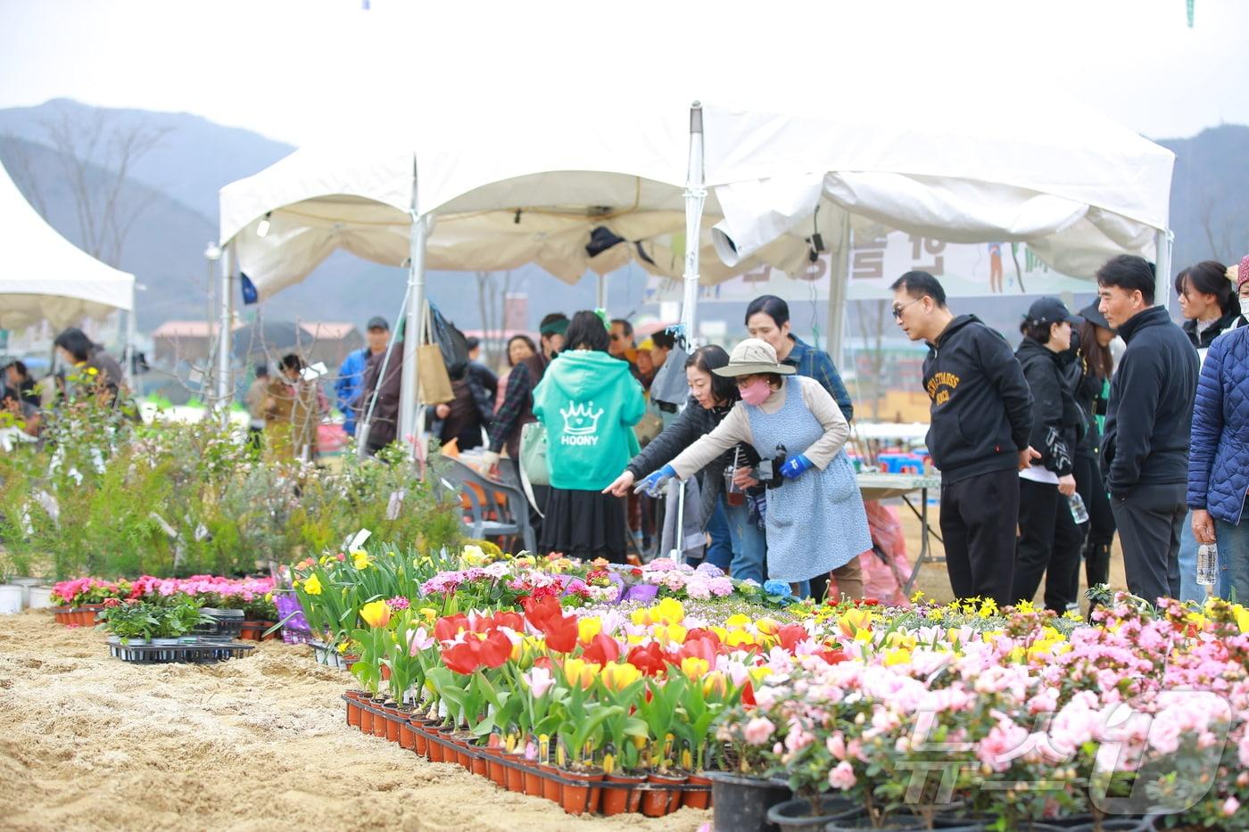 본문 이미지 - 지난해 옥천묘목축제 모습 (옥천군 제공) /뉴스1 