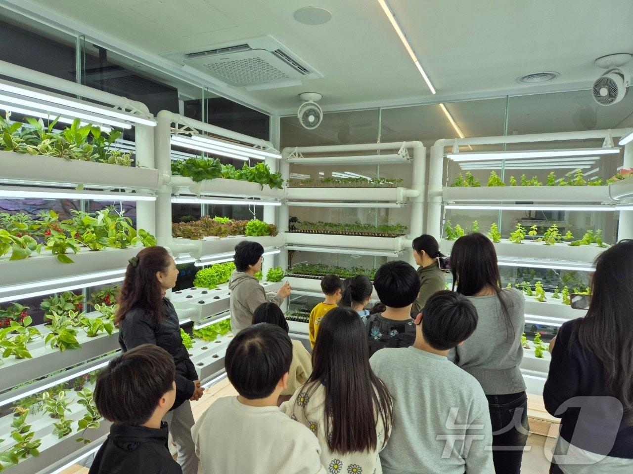 본문 이미지 - 은평구 스마트팜.(은평구청 제공)