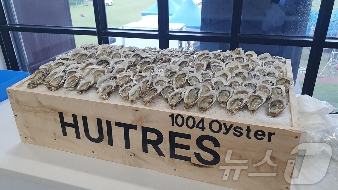 본문 이미지 - 비금 샴막 예술축제시 개체국 주산국인 프랑스인에게 제공된 홍보용 1004굴 &#40;신안군 제공&#41;/뉴스1 