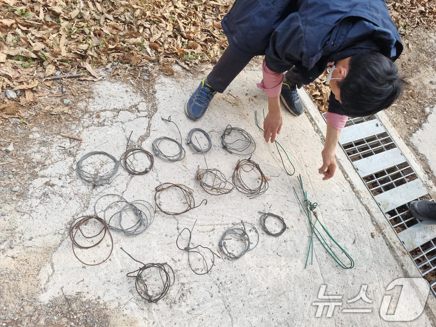 본문 이미지 - 불법 엽구&#40;뉴스1 자료&#41; ⓒ News1 DB