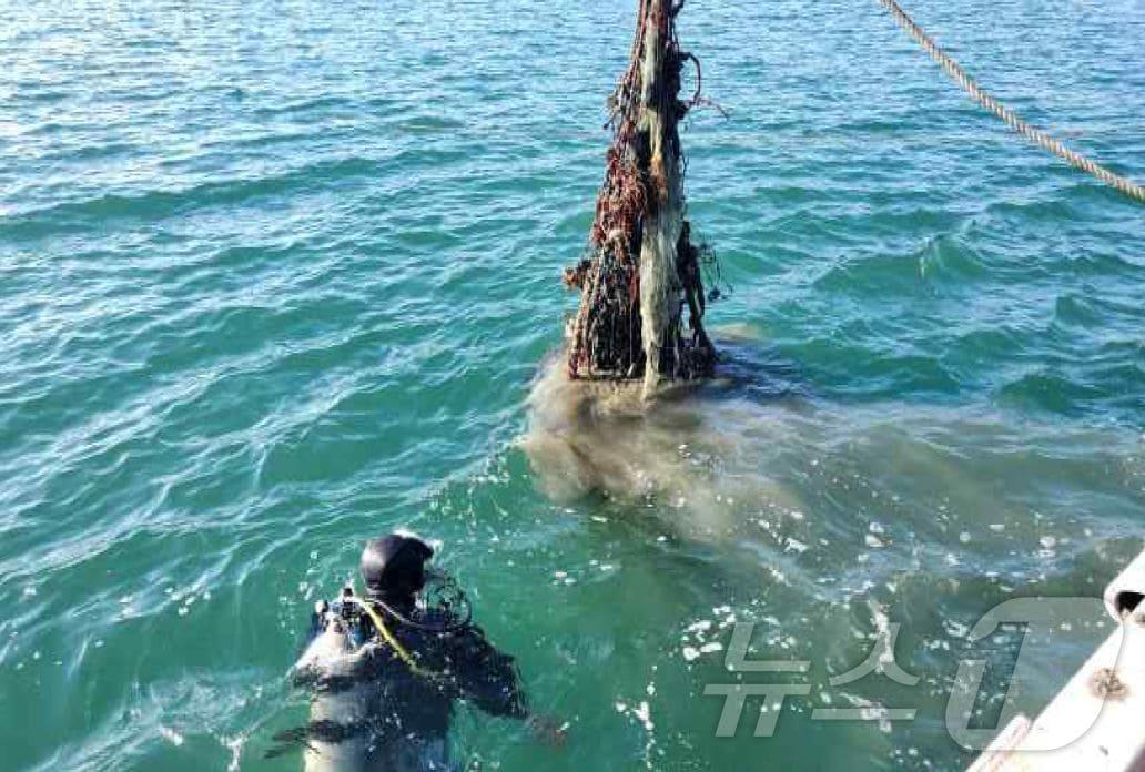 본문 이미지 - 잠수사가 바닷속 폐어구를 수거하고 있다(해양수산부 제공)