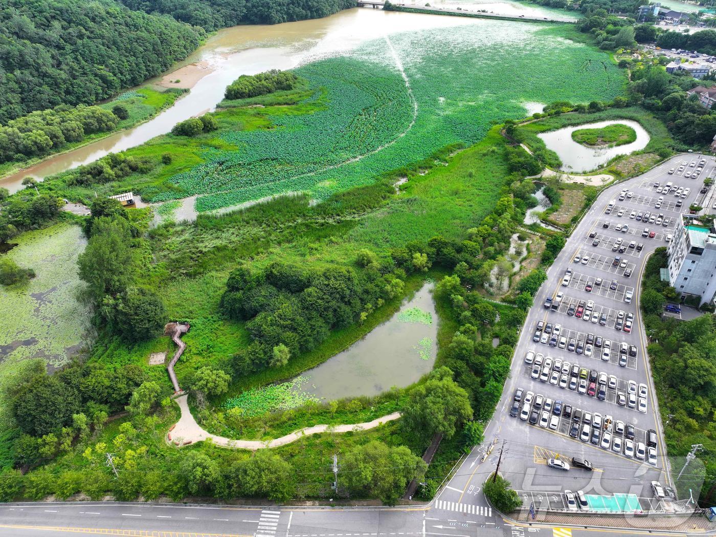 본문 이미지 - 환경부 주관 ‘2025년도 생태계보전부담금 반환사업’에 선정된 전북자치도 익산 주교제습지 전경.(전북자치도 제공)/뉴스1