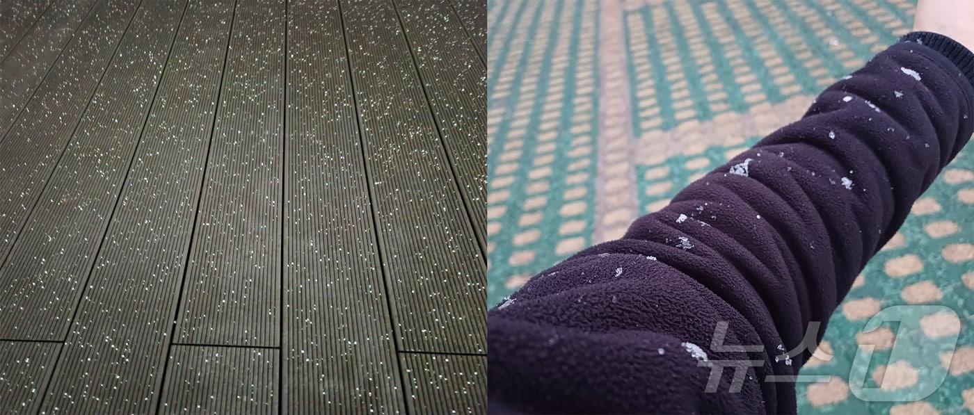 제주시 건입동 제주지방기상청(왼쪽)과 서귀포시 정방동 서귀포기상관측소에 내린 올겨울 제주의 첫눈.(제주지방기상청 제공)