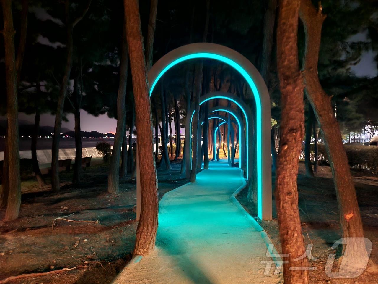 본문 이미지 - 부산 강서구 맨발산책로 야간 전경&#40;강서구청 제공&#41;