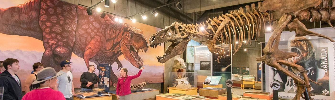 캐나다 박물관에서 전시되는 공룡 화석들은 고대 생물들의 모습을 현대에 되살리며, 백악기 시대의 거대한 생명체들이 살아 숨 쉬던 모습을 엿볼 수 있는 기회를 제공한다. 2024. 11.29/<출처: ROYAL SASKATCHEWAN MUSEUM 홈페이지>