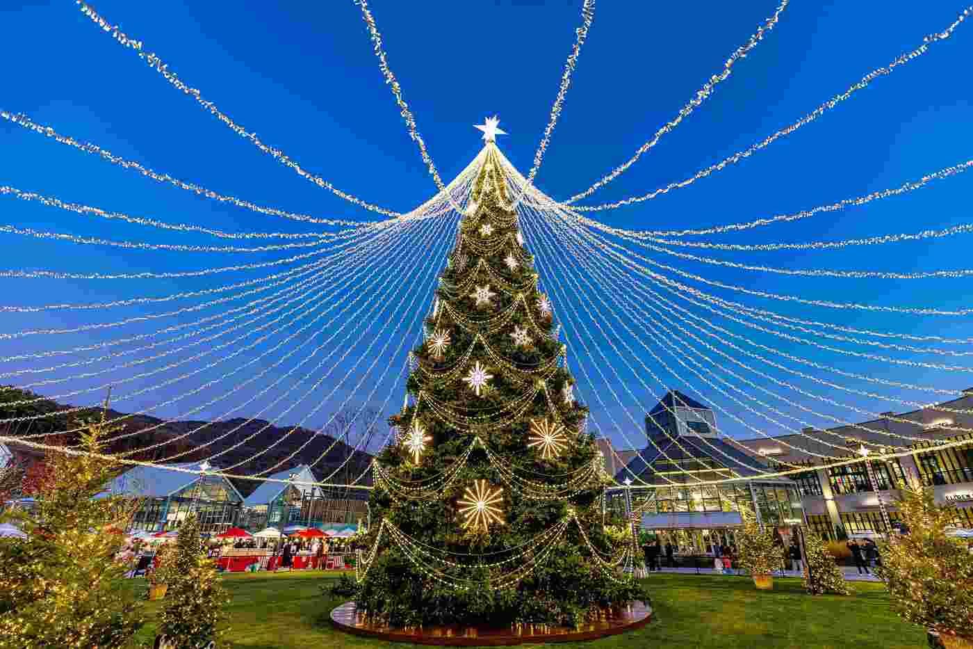 롯데아울렛이 올 한 해를 총 .망라하는 &#39;클리어런스 위크&#39;&#40;Clearance week&#41;행사를 6~8일 진행한다&#40;롯데아울렛제공&#41;