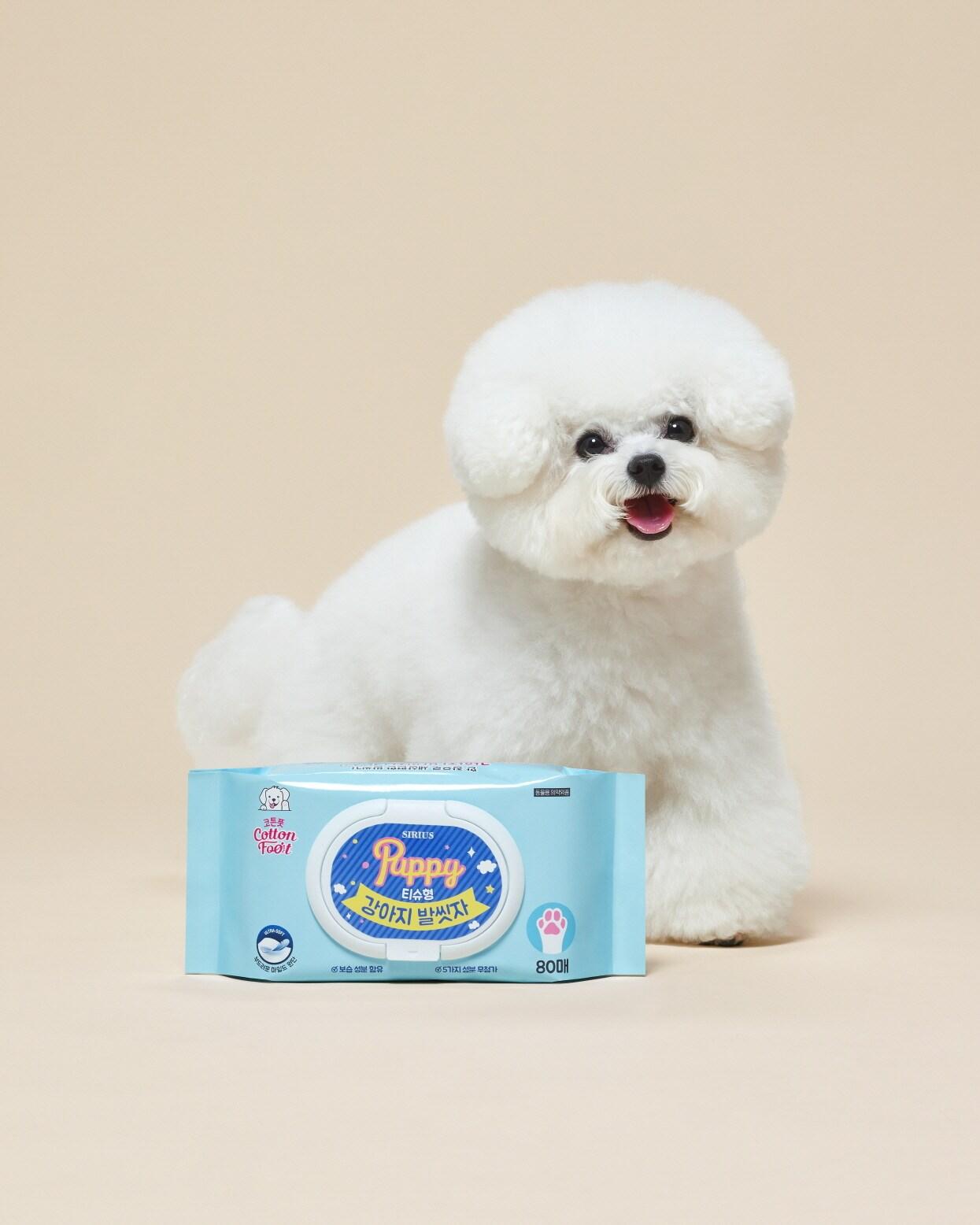 본문 이미지 - 강아지 발씻자 티슈형.(LG생활건강제공)