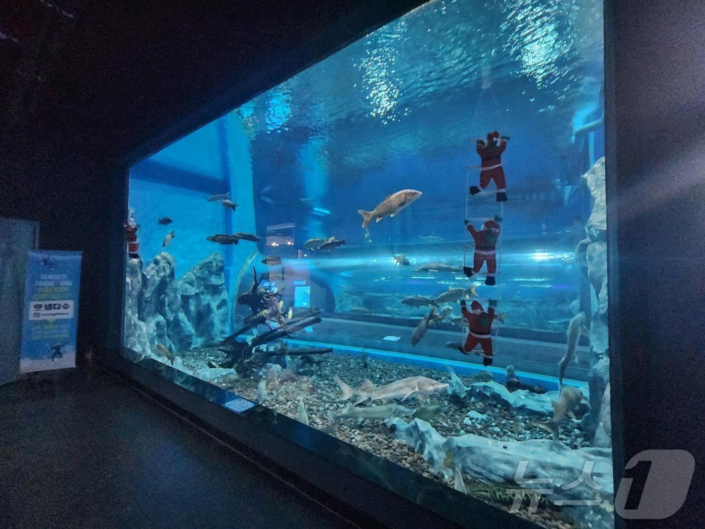 본문 이미지 - 충북아쿠아리움
