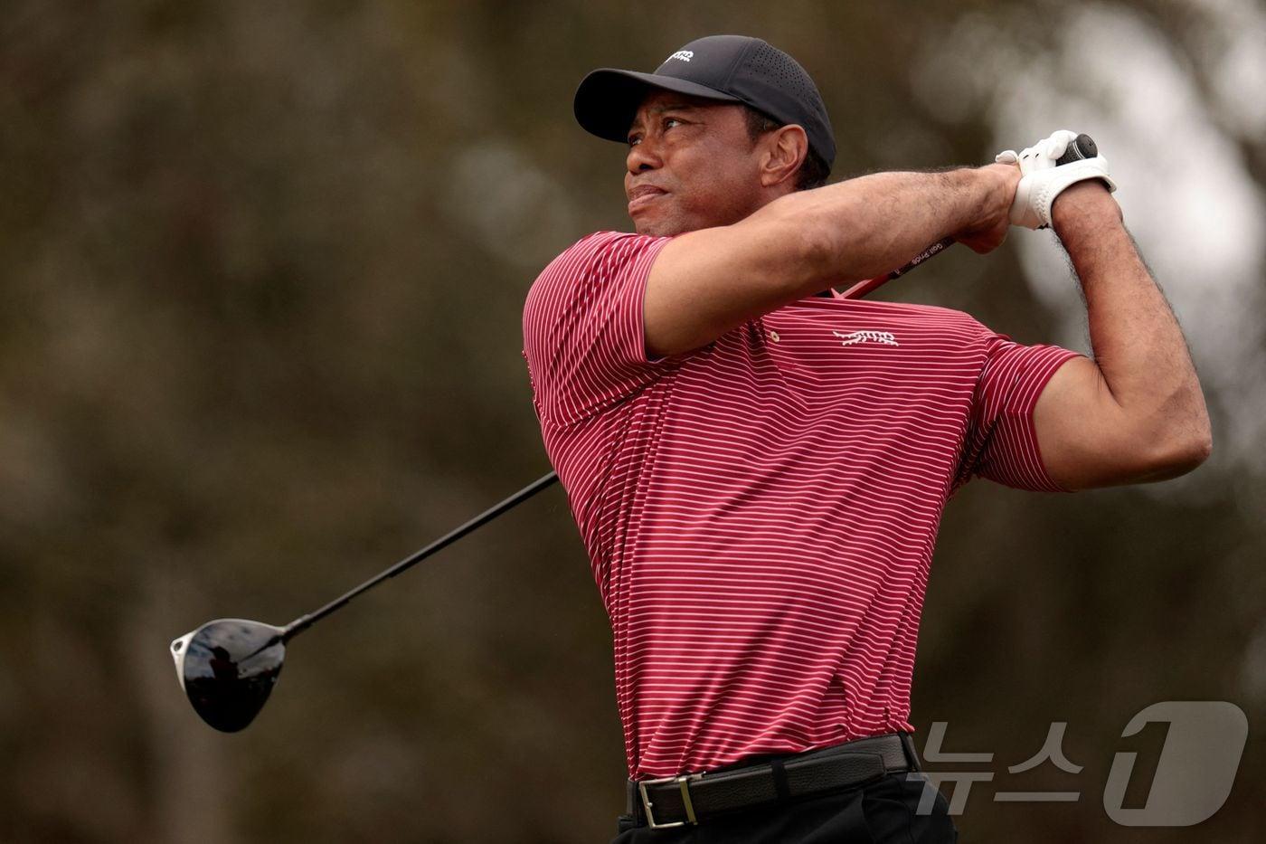 본문 이미지 - ‘골프 황제’ 타이거 우즈. 2024.12.23 ⓒ AFP=뉴스1
