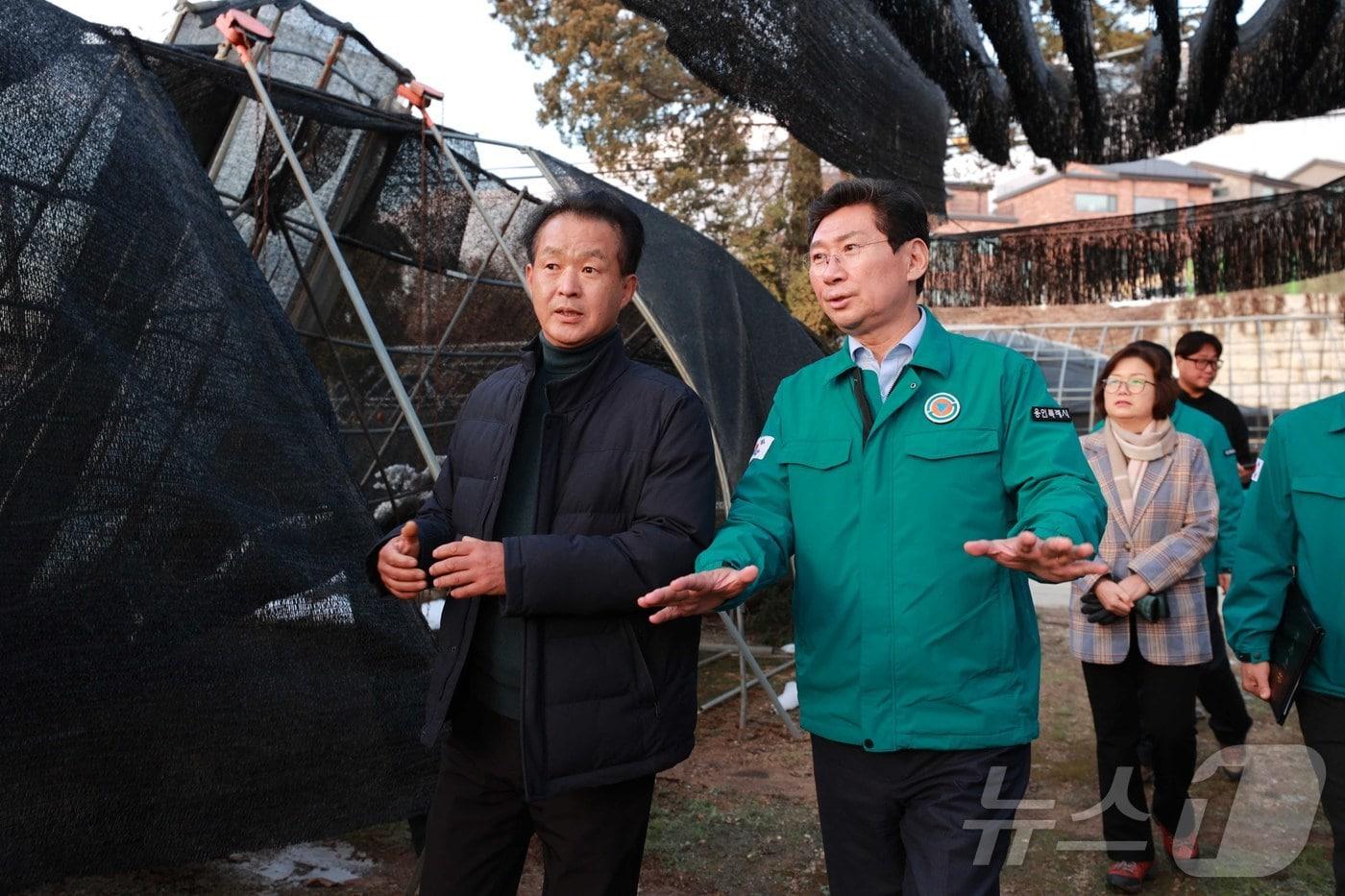 본문 이미지 - 이상일 시장이 폭설 피해 농가를 찾아 피해 상황을 살펴보고 있는 모습.(용인시 제공)