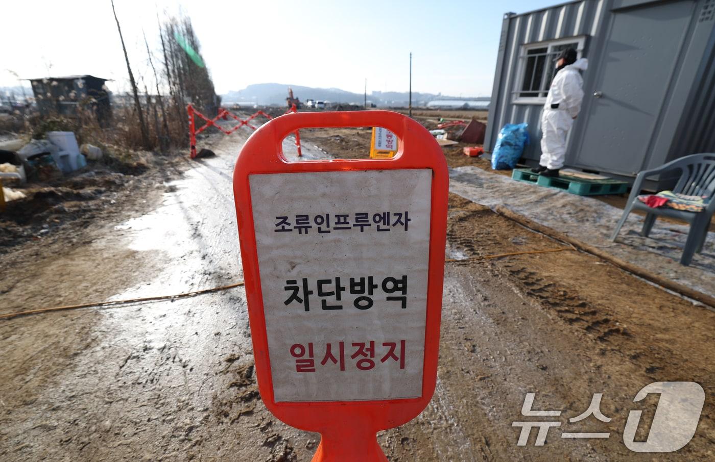 지난해 12월 23일 오전 고병원성 조류인플루엔자&#40;AI&#41;가 발생한 경기 화성시 팔탄면의 한 농장이 통제되고 있다. 2024.12.23/뉴스1 ⓒ News1 김영운 기자