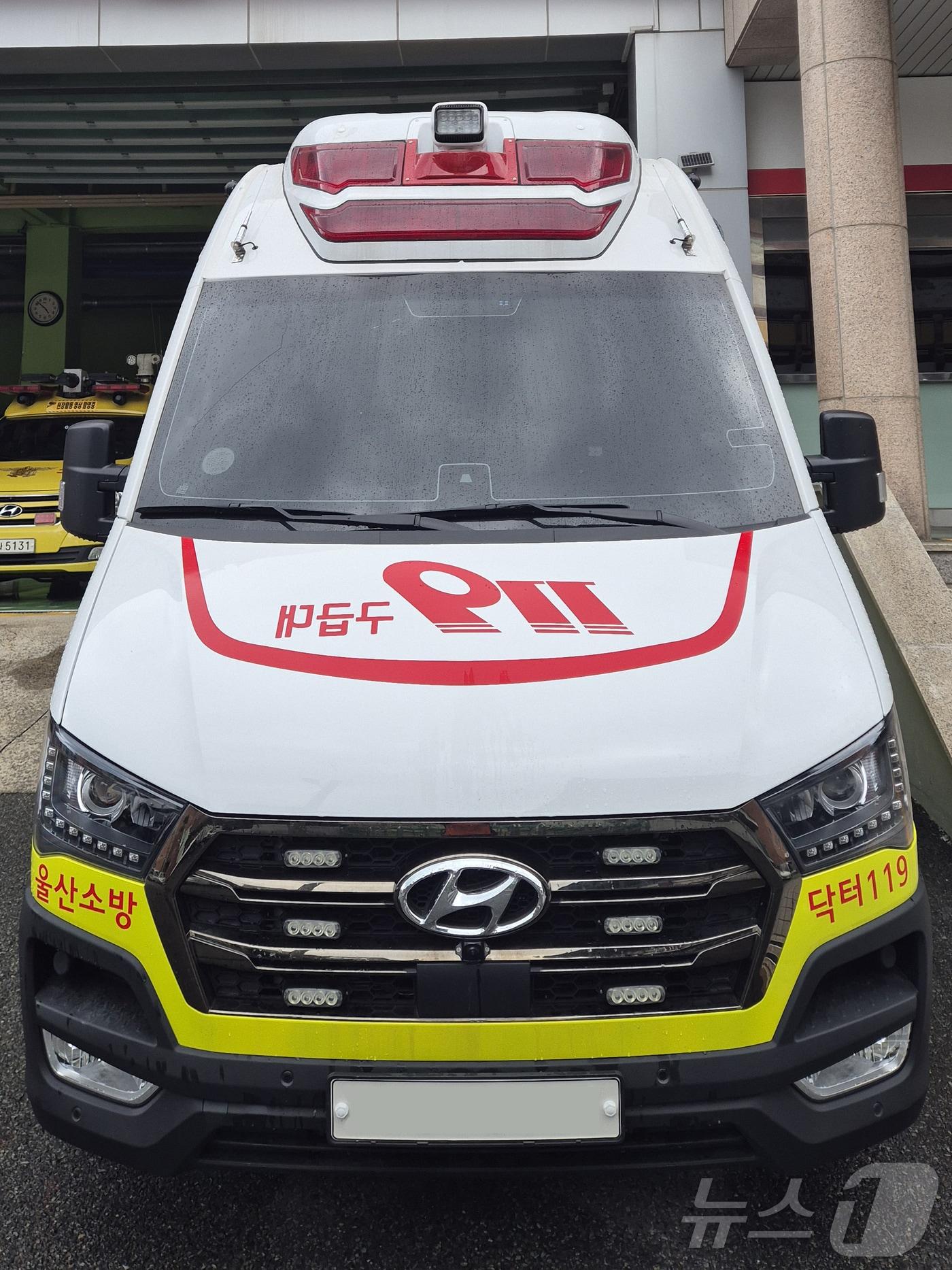 본문 이미지 - 닥터119.(울산광역시제공)