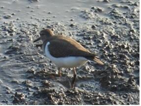 본문 이미지 -  (서울시 제공) 