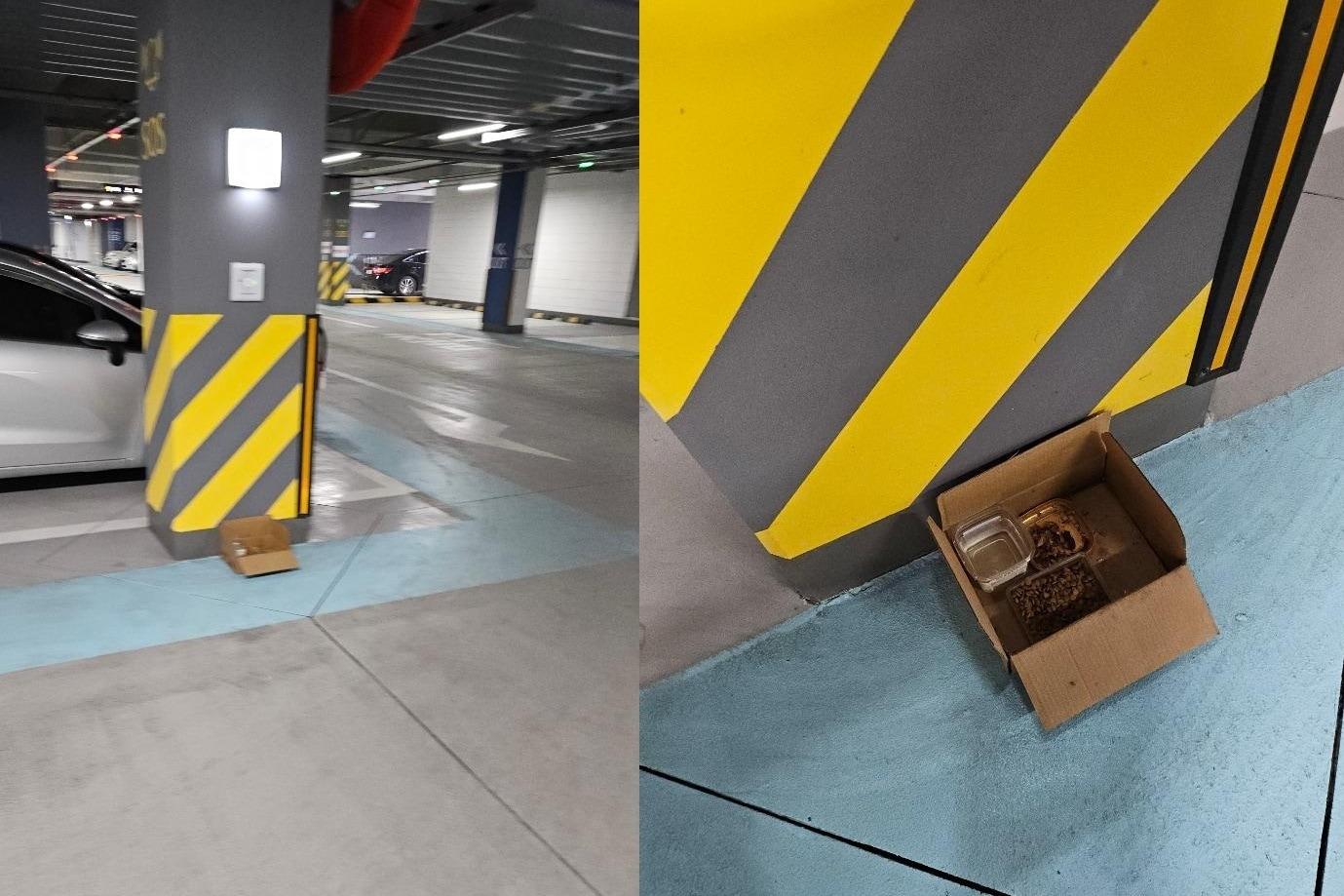 본문 이미지 - (보배드림 갈무리)