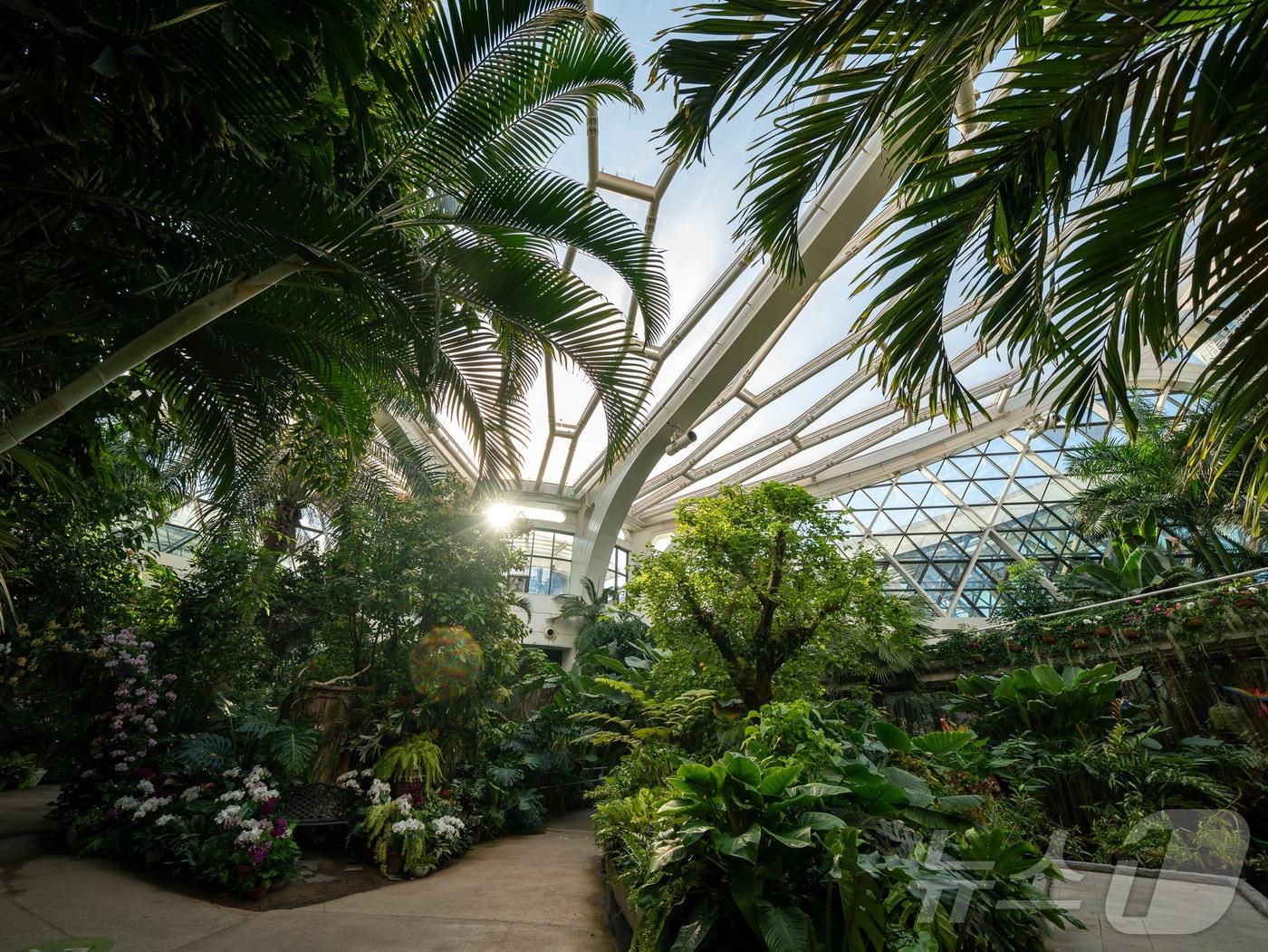 본문 이미지 - 일 년 내내 짙은 초록의 여름, 서울식물원 온실(한국관광공사 제공)