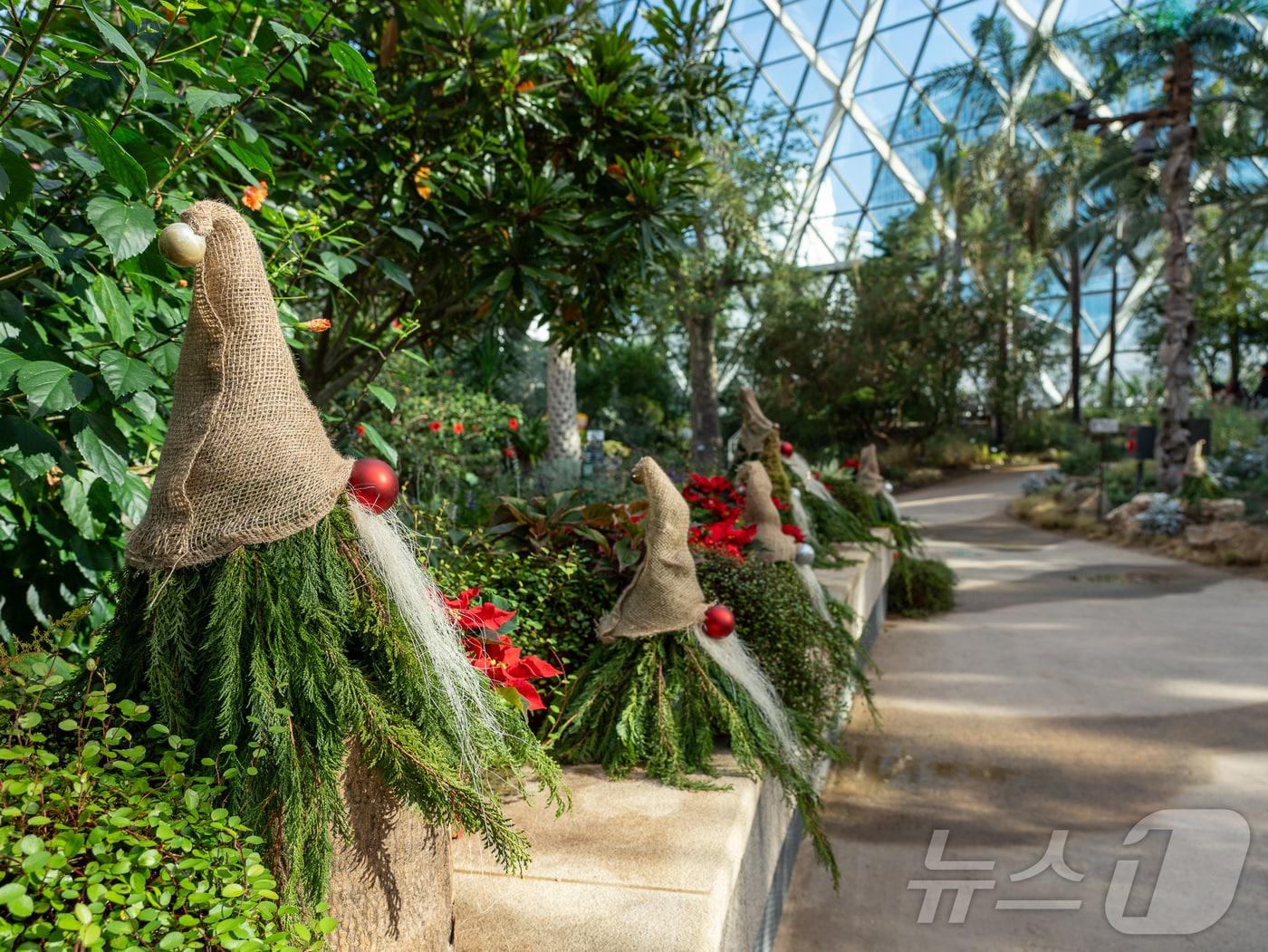 서울식물원의 &#39;윈터페스티벌&#39; 나무에 꾸며진 스웨덴 요정을 온실 곳곳에서 발견할 수 있다&#40;한국관광공사 제공&#41;