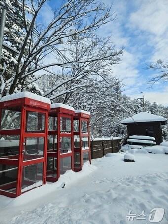 숲속책장 앞 전경&#40;국립한국자생식물원 제공&#41;