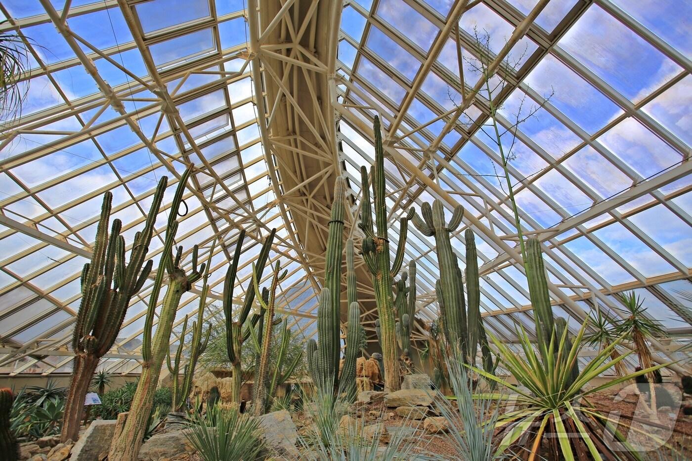 5대기후관 중 사막관 풍경&#40;한국관광공사 제공&#41;