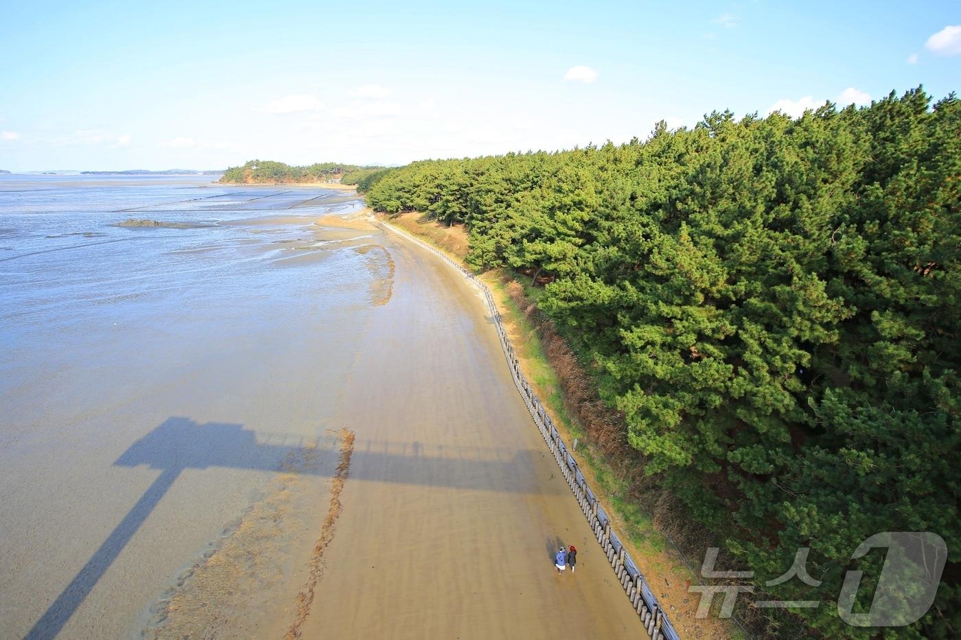 갯벌과 해송림이 아름답게 어우러진다&#40;한국관광공사 제공&#41;