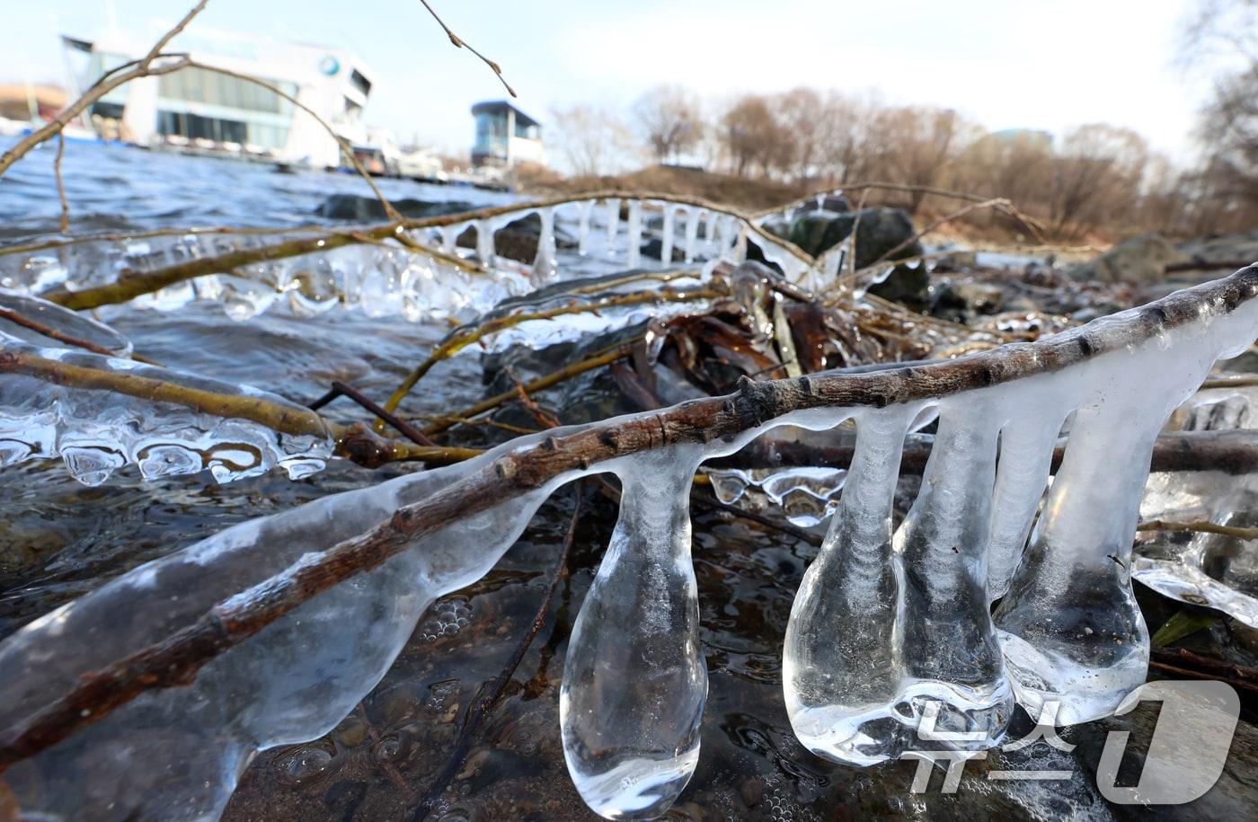 강추위가 몰아친 27일 서울 여의도 한강변 나뭇가지에 고드름이 열려 있다.  2024.12.27/뉴스1 ⓒ News1 김명섭 기자