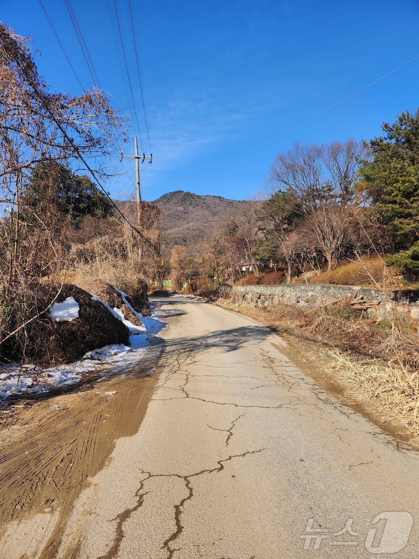 본문 이미지 - '12.3 비상계엄' 선포 당시 국군정보사령부 특수임무 요원들이 모여 대기한 것으로 알려진 경기 성남시 판교 정보사 예하부대로 추정되는 길목. 2024.12.27/뉴스1 ⓒ News1 배수아 기자