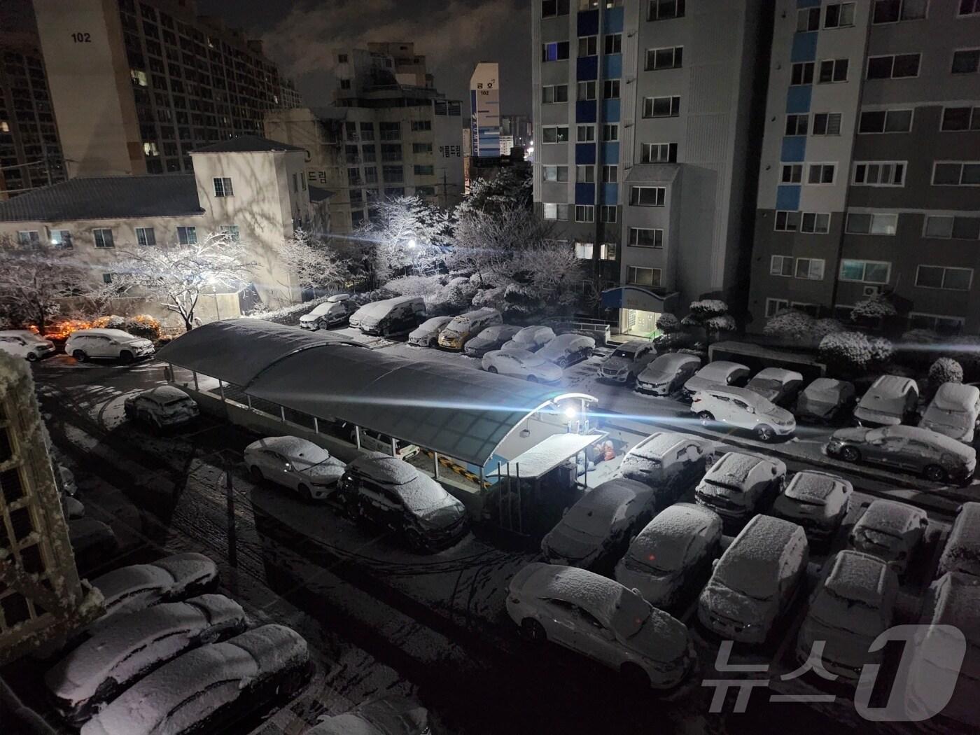 본문 이미지 - 28일 오전 6시 광주 북구 용봉동 한 아파트에서 밤사이 내린 눈이 쌓여 있다.2024.12.28/뉴스1 ⓒ News1 김동수 기자