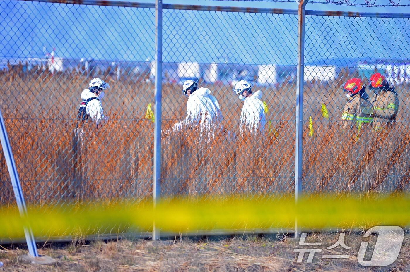 29일 오전 전남 무안국제공항 활주로에 여객기가 추락, 구조대원이 사망자 시신을 수습하고 있다. 이날 오전 9시 7분쯤 승객과 승무원 181명을 태운 태국발 제주항공 7C2216편 항공기가 무안공항 착륙을 시도하던 중 활주로 외벽에 부딪혀 폭발했다. 2024.12.29/뉴스1 ⓒ News1 이승현 기자