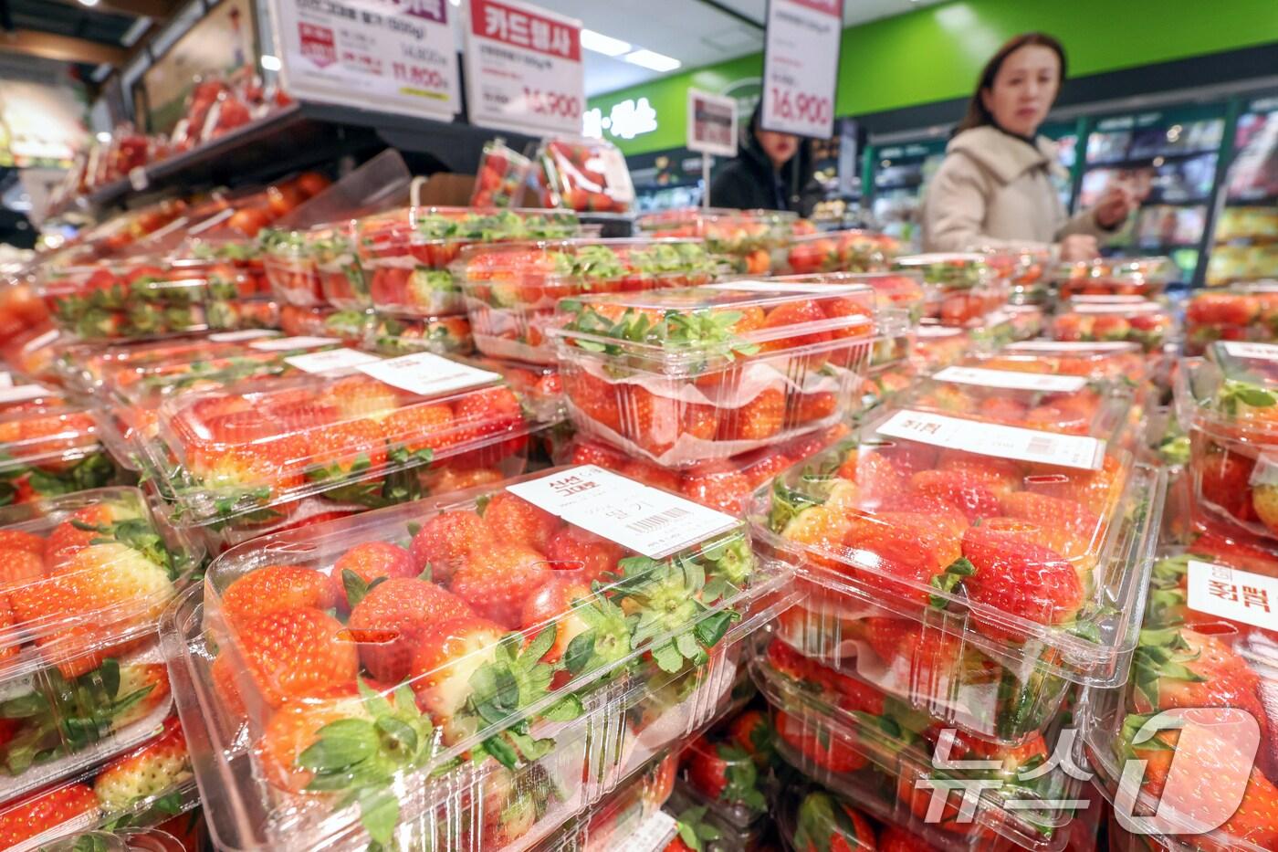 본문 이미지 - 서울의 한 대형마트에서 시민들이 딸기를 고르고 있다. 2024.12.29/뉴스1 ⓒ News1 민경석 기자