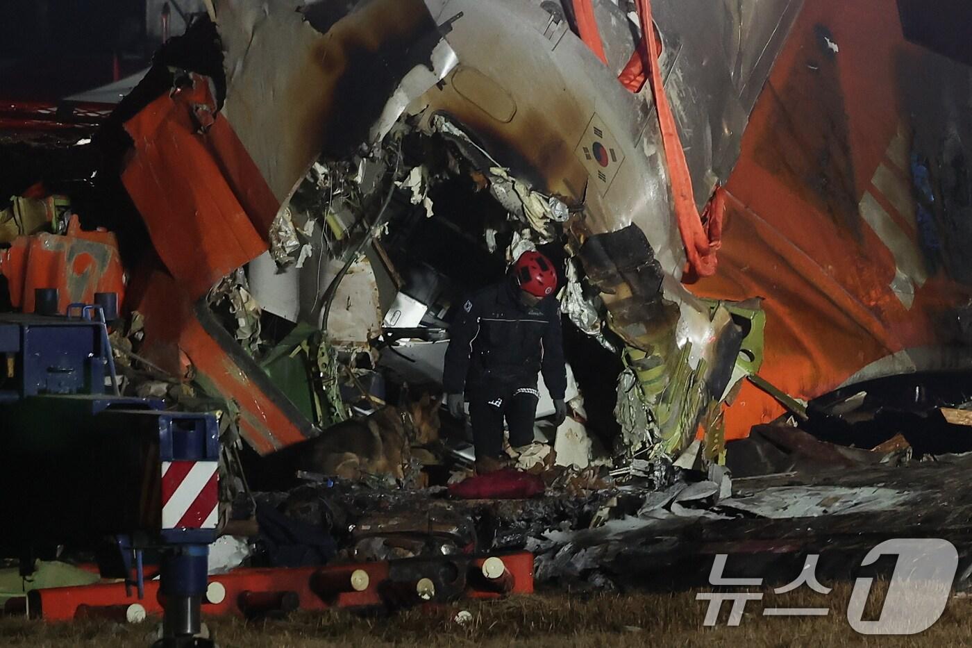 본문 이미지 - 29일 오후 181명이 탑승한 제주항공 여객기가 추락한 전남 무안국제공항에서 소방대원들이 사고 수습 작업을 하고 있다. 사고가 난 항공기는 방콕을 출발해 이날 오전 9시 무안국제공항에 도착 예정이던 제주항공 2216편으로 사고 여객기는 랜딩기어 고장으로 동체 착륙하던 중 사고가 난 것으로 파악되고 있다. 소방당국은 긴급 브리핑을 열고 "여객기에 탑승한 181명 중 구조자 2명을 제외한 인원이 모두 사망한 것으로 추정된다＂며 ＂총력을 다해 수습 작업을 진행 중＂이라고 밝혔다. 2024.12.29/뉴스1 ⓒ News1 김성진 기자