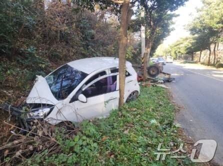 본문 이미지 - 3일 오전 8시 23분쯤 전남 장흥군 용산면 한 도로에서 20대 여성 A 씨가 몰던 모닝이 80대 B 씨의 경운기를 추돌한 현장 모습. (독자 제공) 2024.12.3/뉴스1