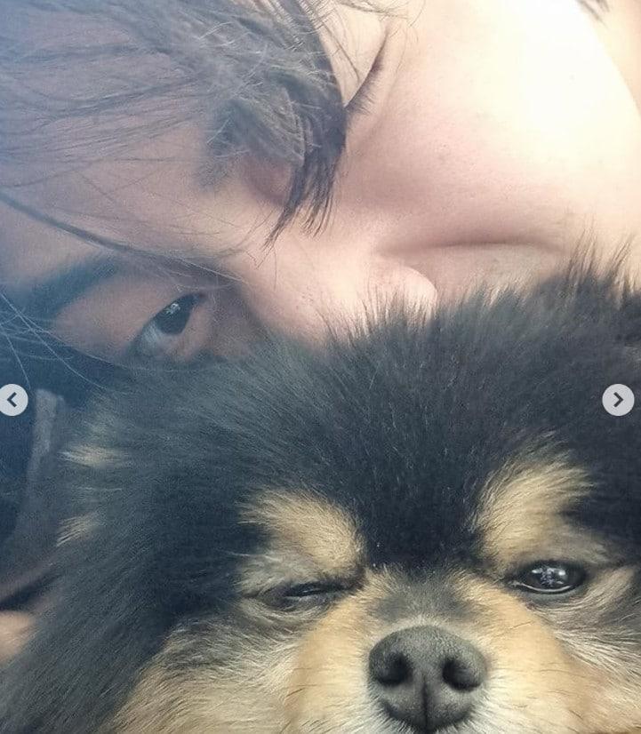 본문 이미지 - 뷔 반려견 연탄이