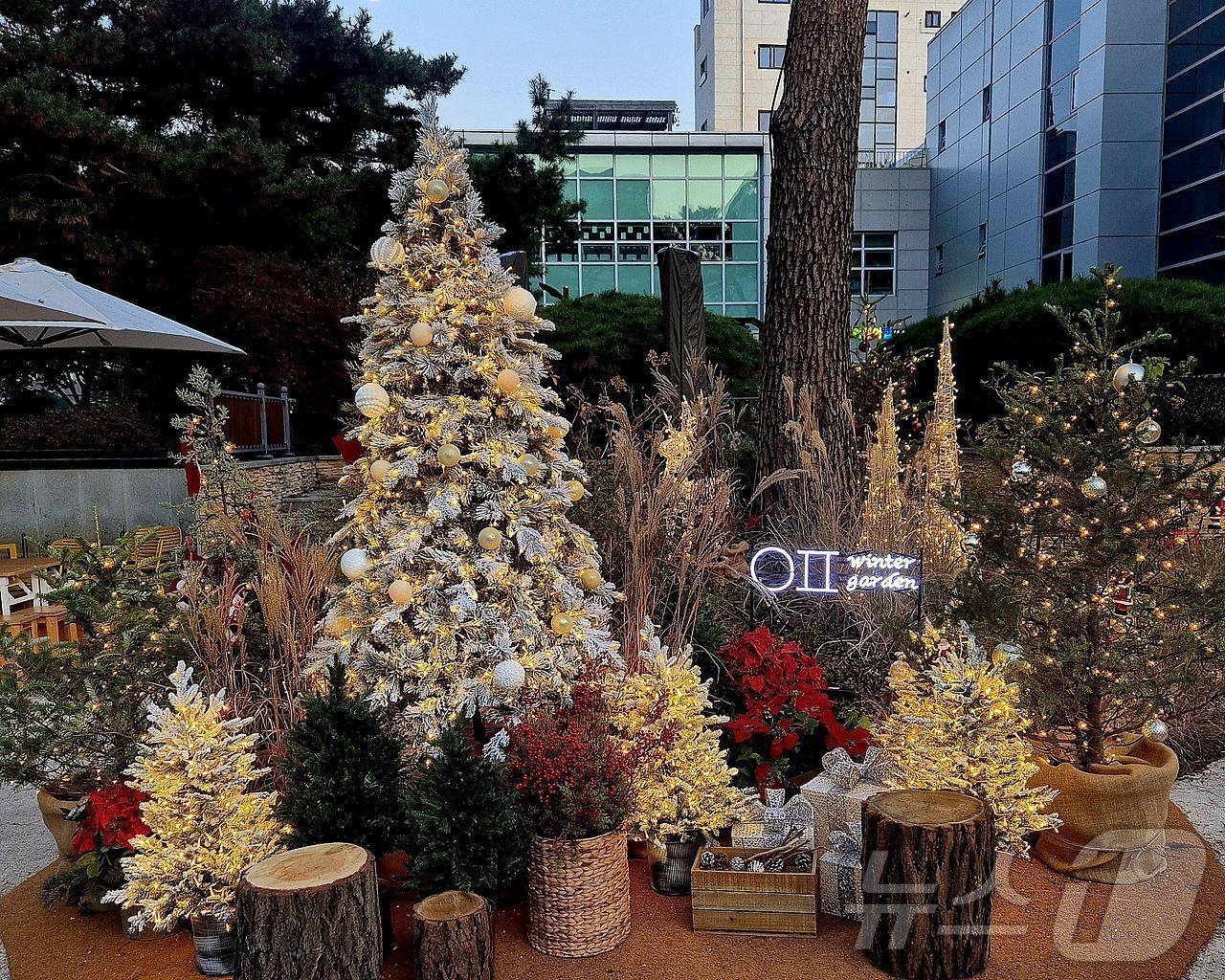 본문 이미지 - 은평구청 앞 매력정원.&#40;은평구청 제공&#41;