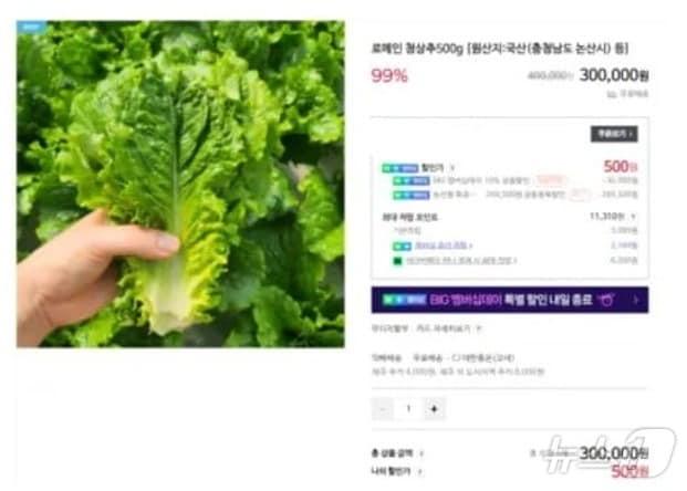 본문 이미지 - 상추를 40만원으로 올린 판매자 (온라인 커뮤니티 갈무리)