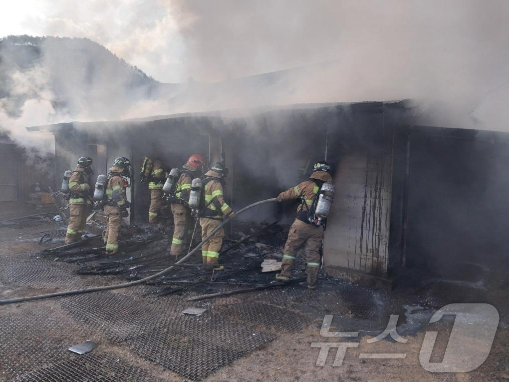 본문 이미지 - 30일 오후 3시17분쯤 경북 경주시 현곡면 래태리의 주택에서 불이 나 80대 남성이 숨졌다.(경북소방본부 제공)2024.12.31/뉴스1