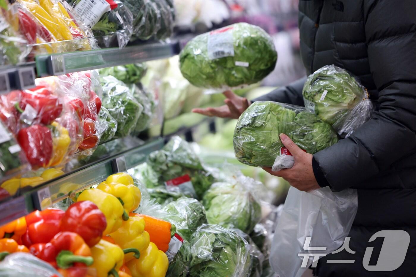 31일 서울의 한 대형마트에서 시민들이 장을 보고 있다. 2024.12.31/뉴스1 ⓒ News1 황기선 기자