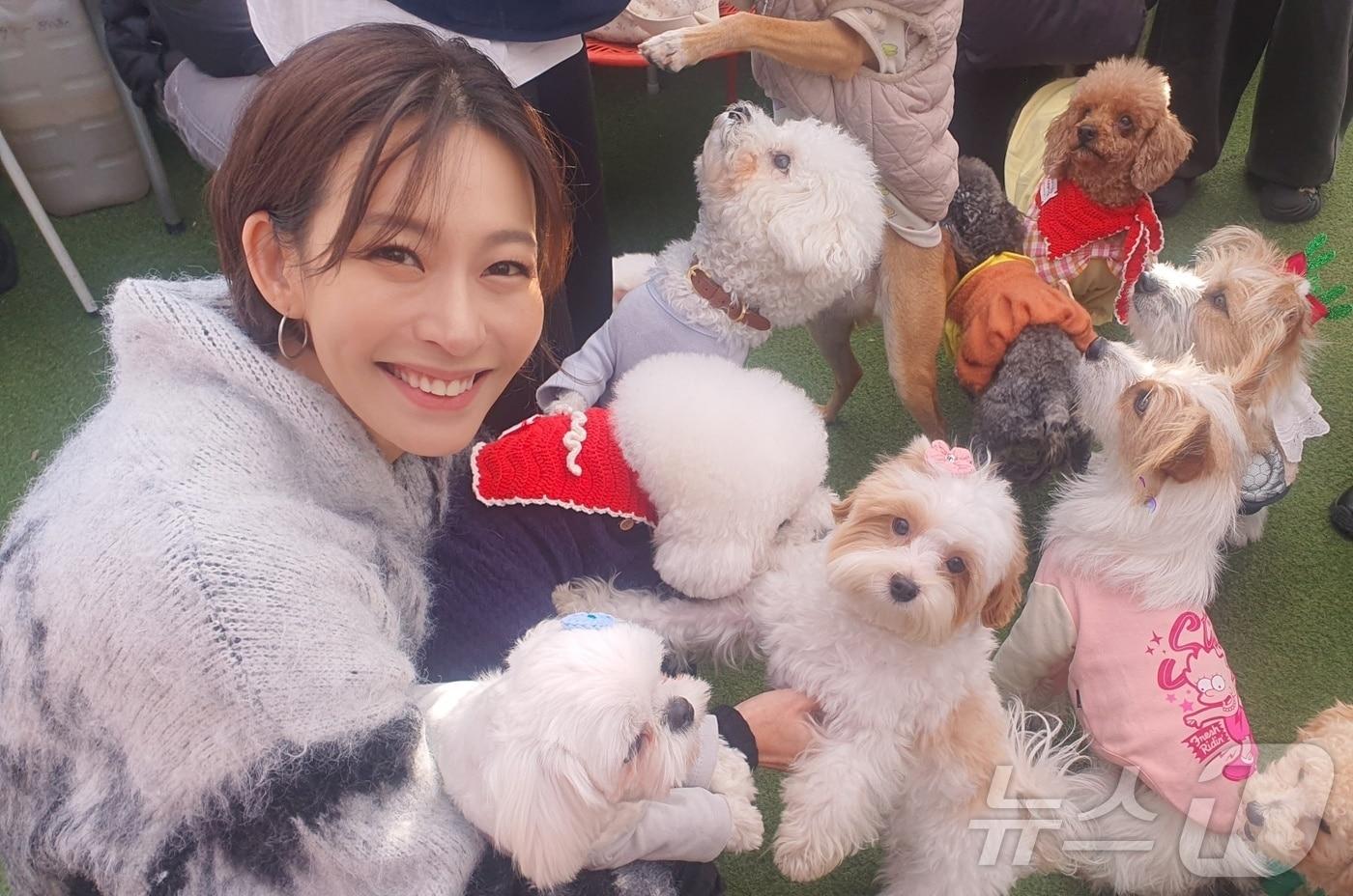 배우 정애연과 보호소 동물들(그린볼캠페인 제공) ⓒ 뉴스1